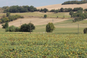 Les treilles d'en Peyre